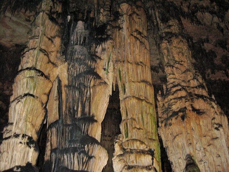 activities-coves-darta