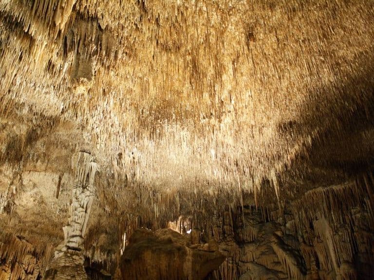 activities-coves-del-drach