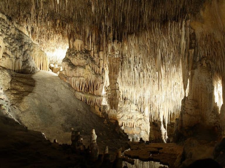 activities-coves-del-drach