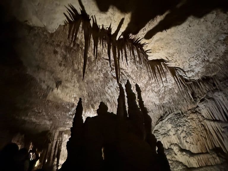 activities-coves-del-drach