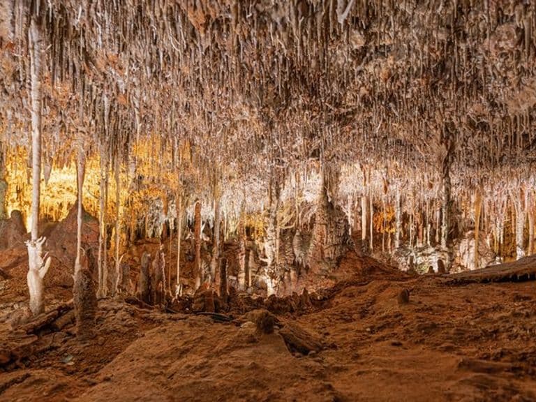 activities-hams-caves