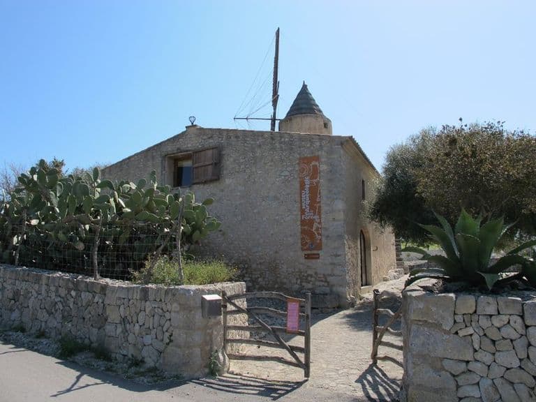 activities-museu-arqueologic-de-son-fornes