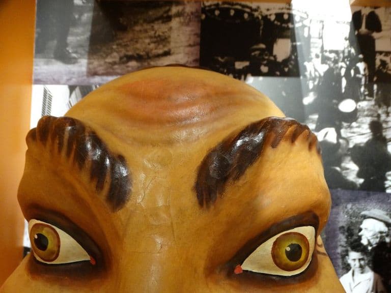 activities-museu-de-mallorca