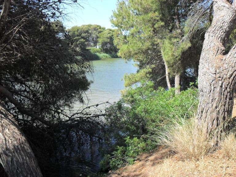 activities-parc-natural-de-salbufera-de-mallorca