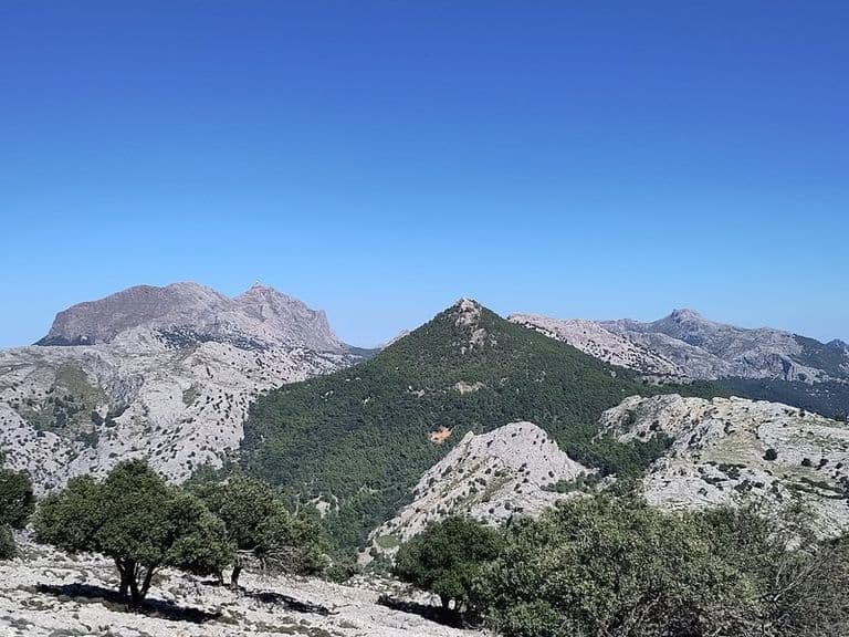 activities-puig-des-migdia