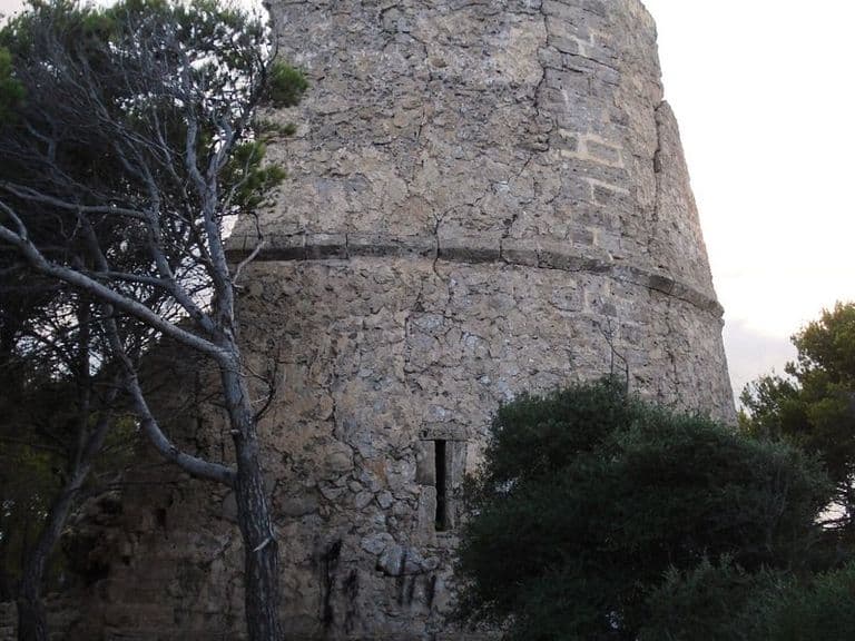 activities-sa-torre-esbucada