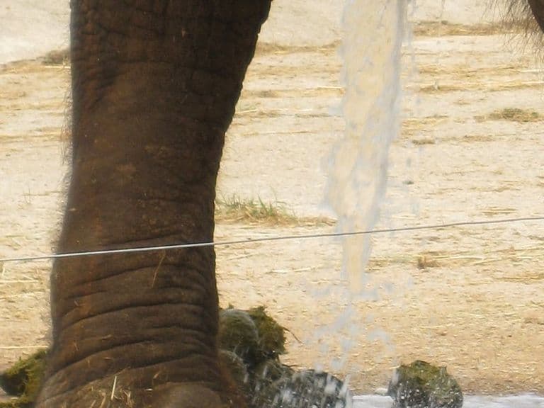 activities-safari-mallorca