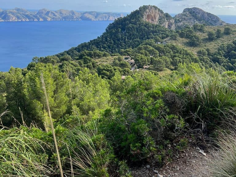 activities-talaia-dalcudia