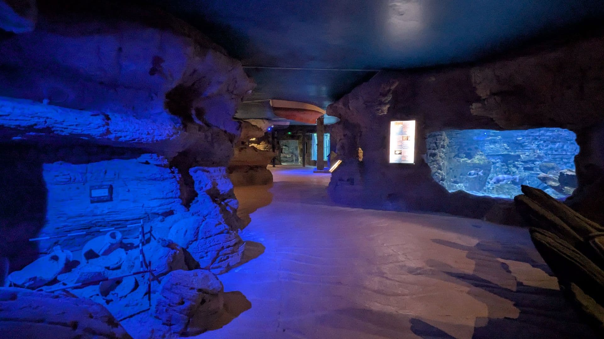activities-aquarium-cabrera