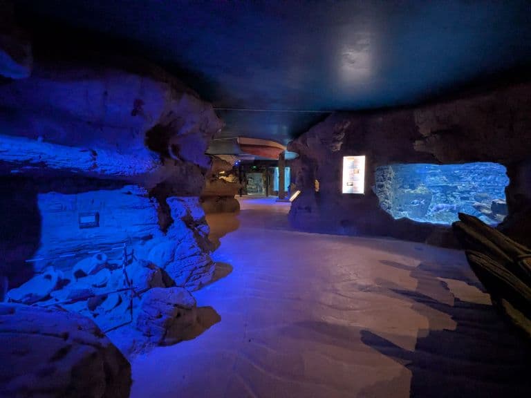 activities-aquarium-cabrera