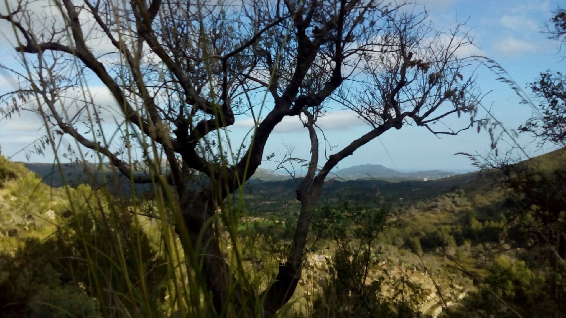 activities-ermita-de-bonany