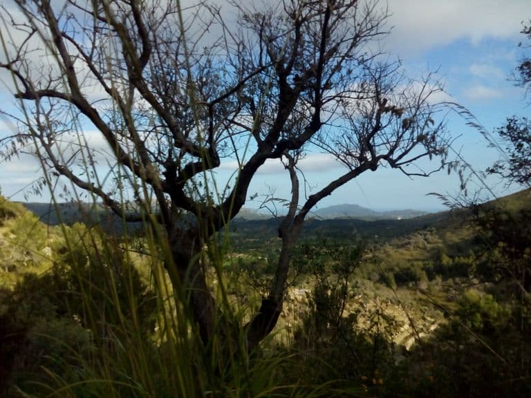 activities-ermita-de-bonany