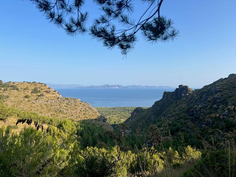 Hiking in Mallorca — Best Trails & Routes