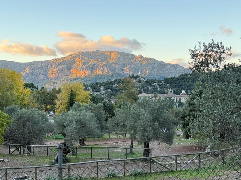 Wildlife & Nature Reserves of Mallorca