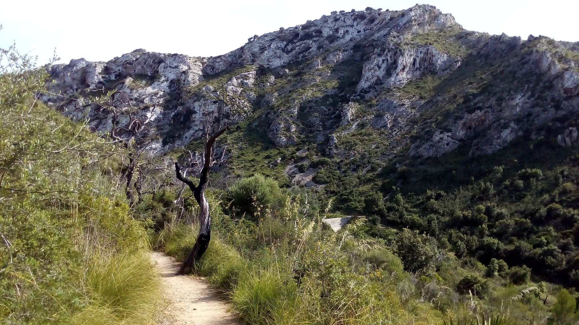 activities-ermita-de-sant-honorat