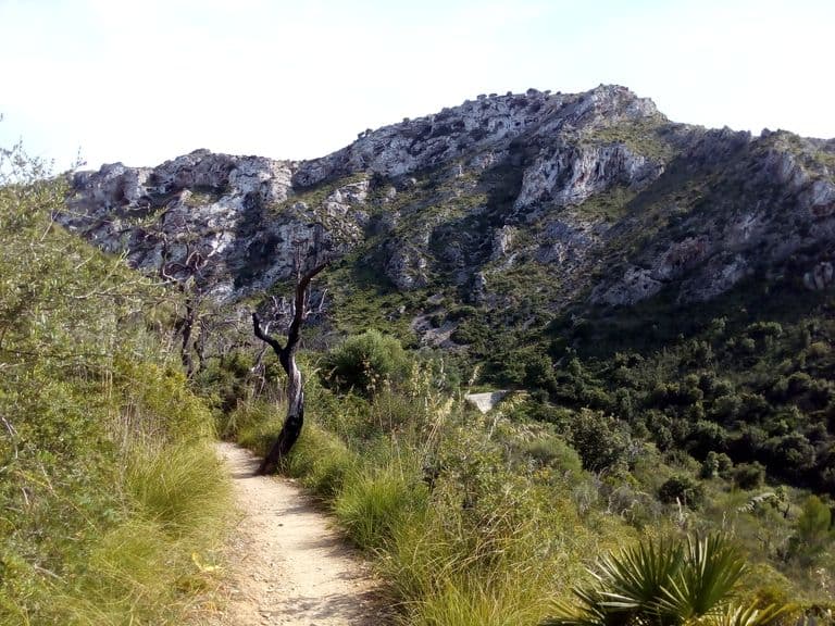 activities-ermita-de-sant-honorat