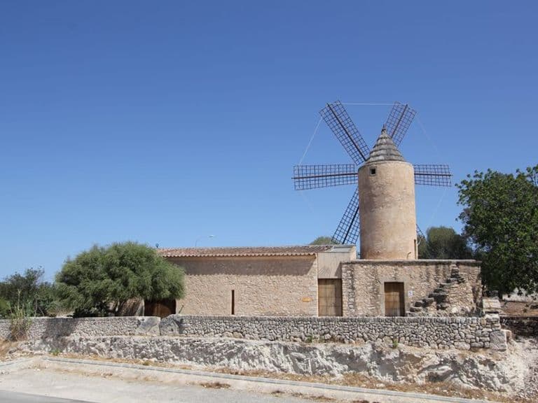 activities-museu-arqueologic-de-son-fornes