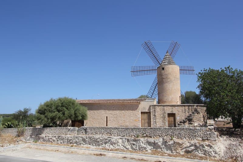 activities-museu-arqueologic-de-son-fornes