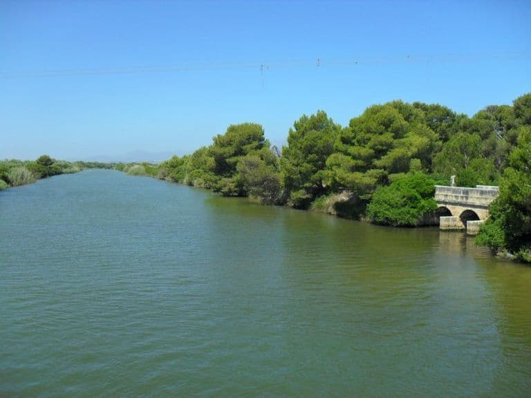 activities-parc-natural-de-salbufera-de-mallorca