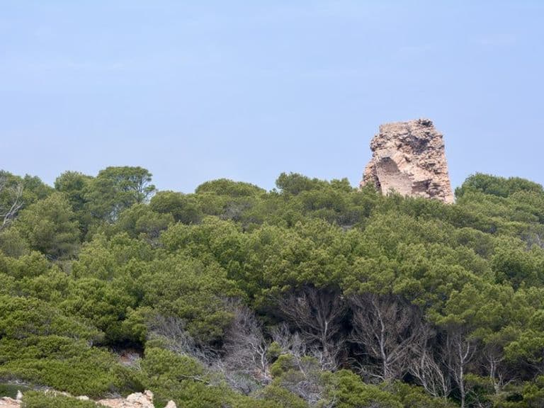 activities-sa-torre-esbucada