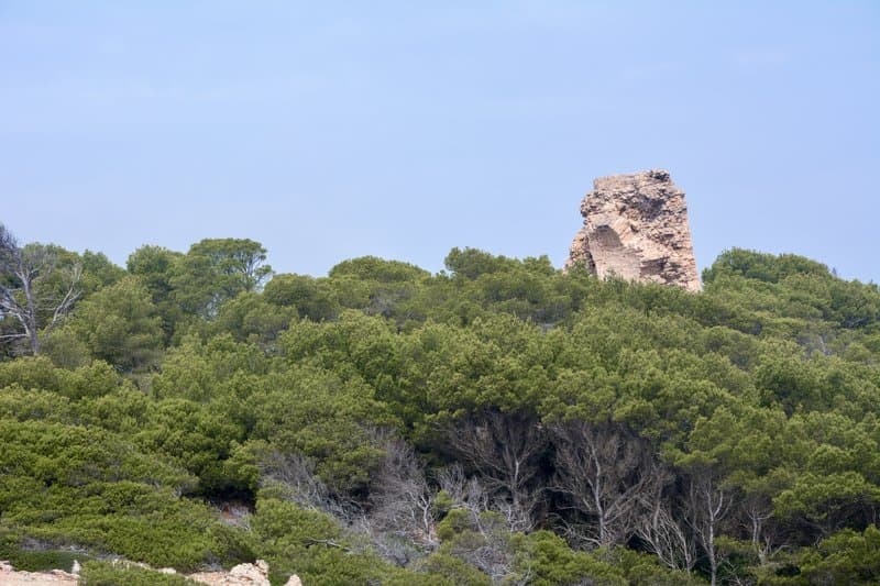 activities-sa-torre-esbucada