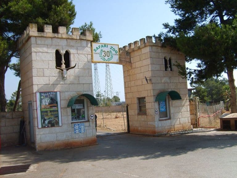 activities-safari-mallorca