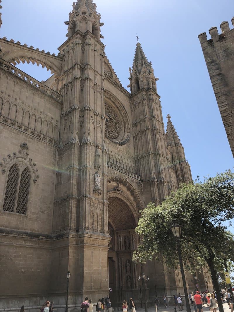 activities-catedral-basilica-de-santa-maria-de-mallorca
