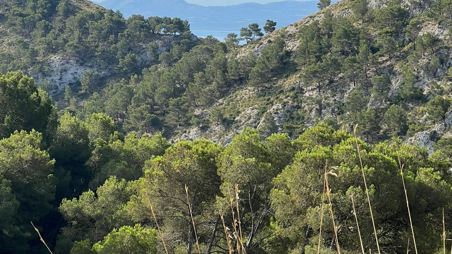activities-talaia-dalcudia