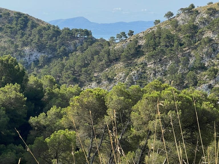 activities-talaia-dalcudia