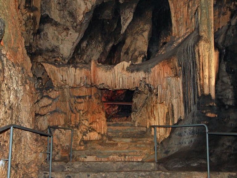 activities-coves-darta