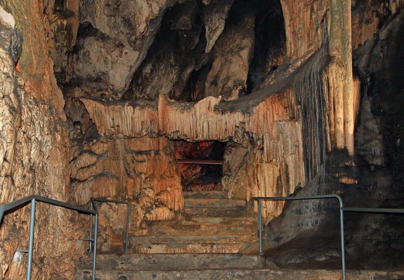activities-coves-darta