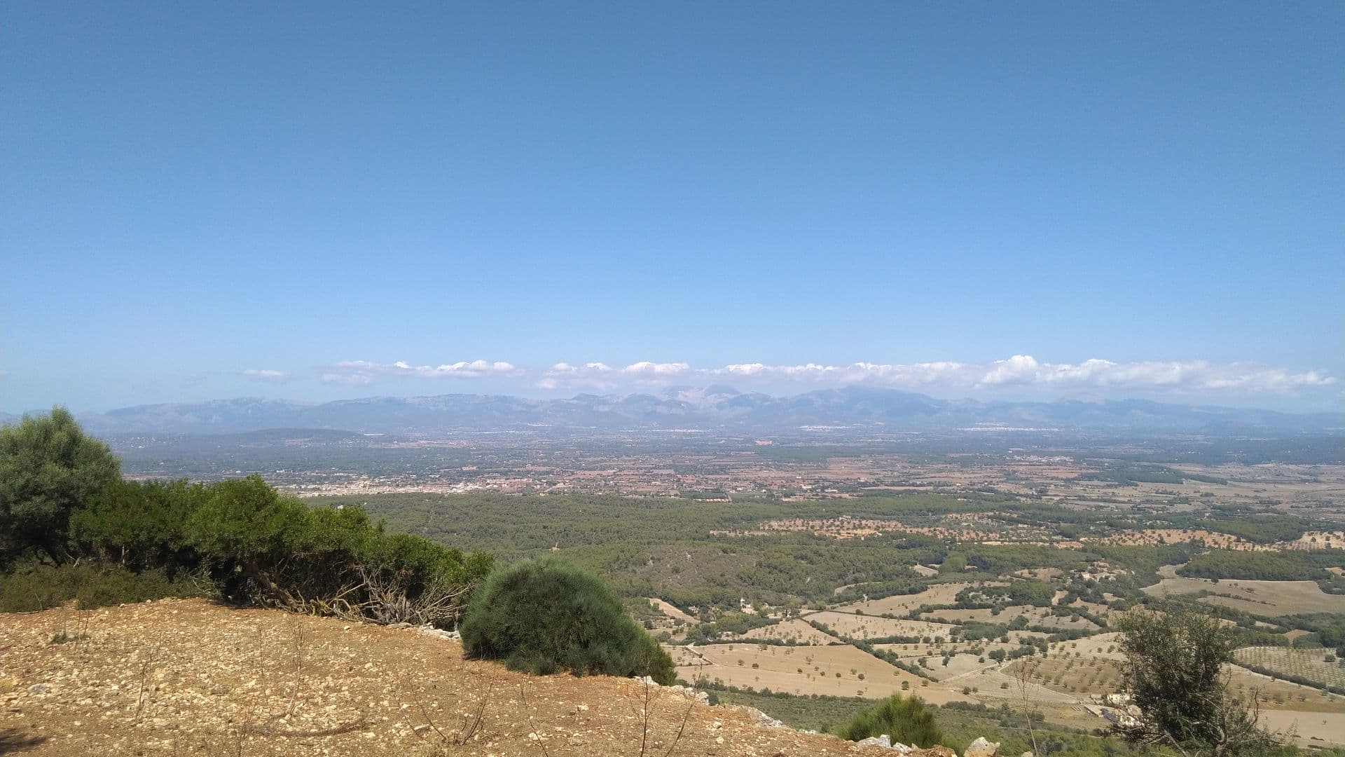 eat-drink-gelat-soller