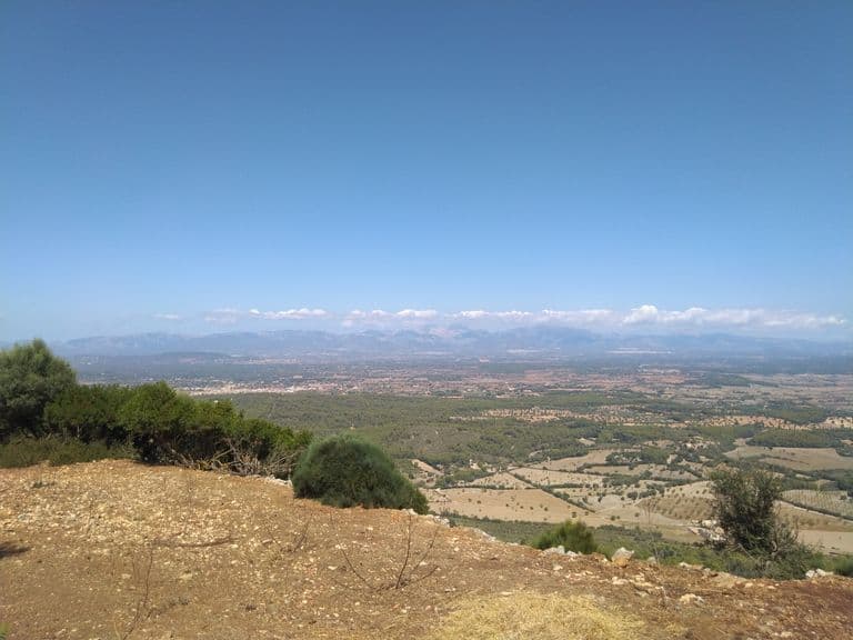 eat-drink-gelat-soller