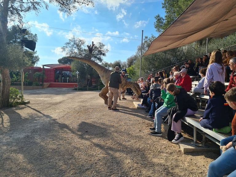 activities-dinosaurland