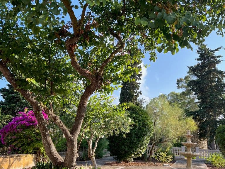 stay-finca-sa-bastida-luxury-retreat-spa