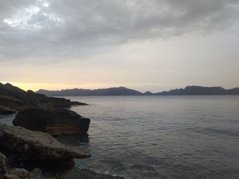 stay-petit-palau-alcudia