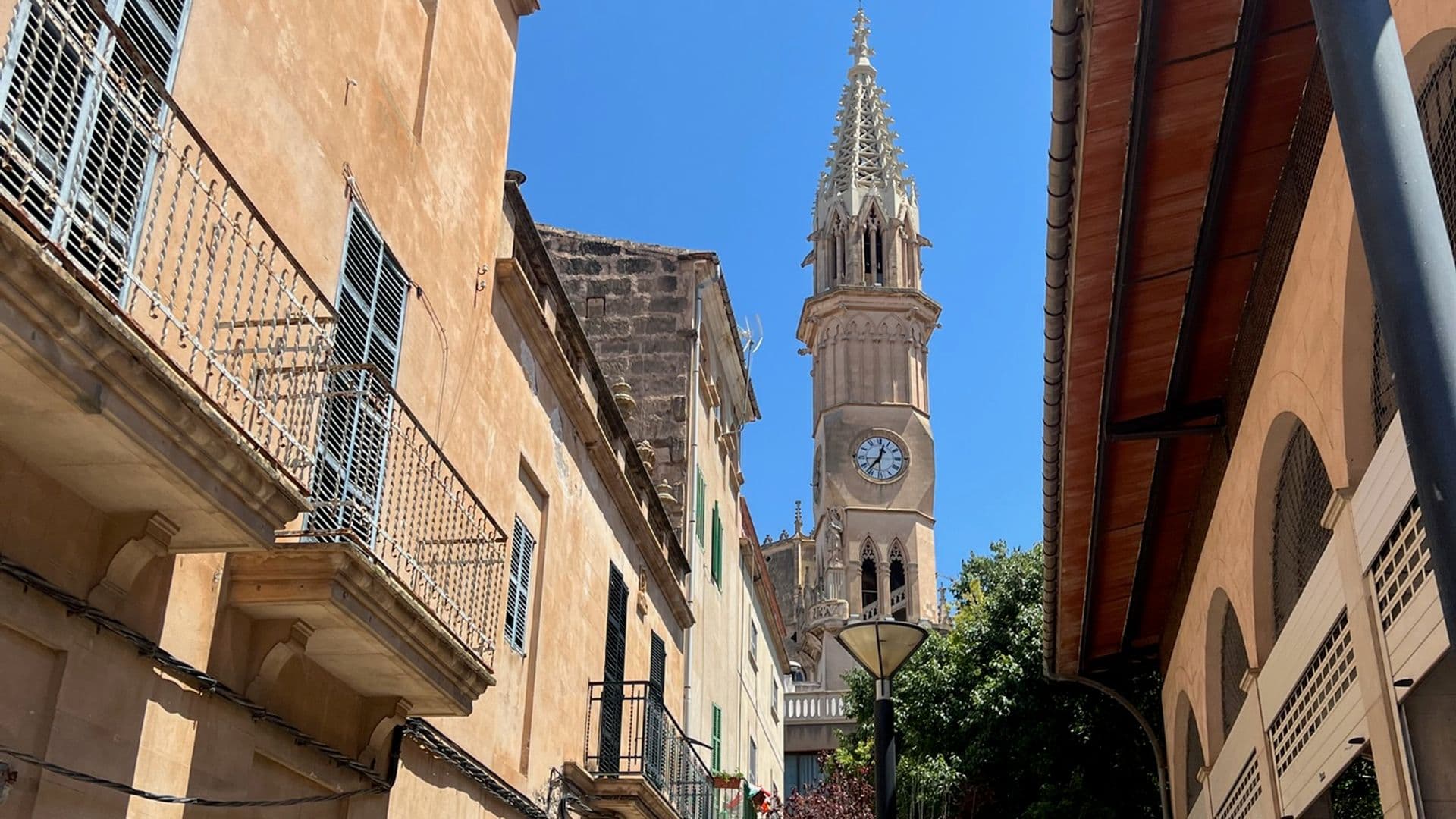 Hotels in Alcúdia