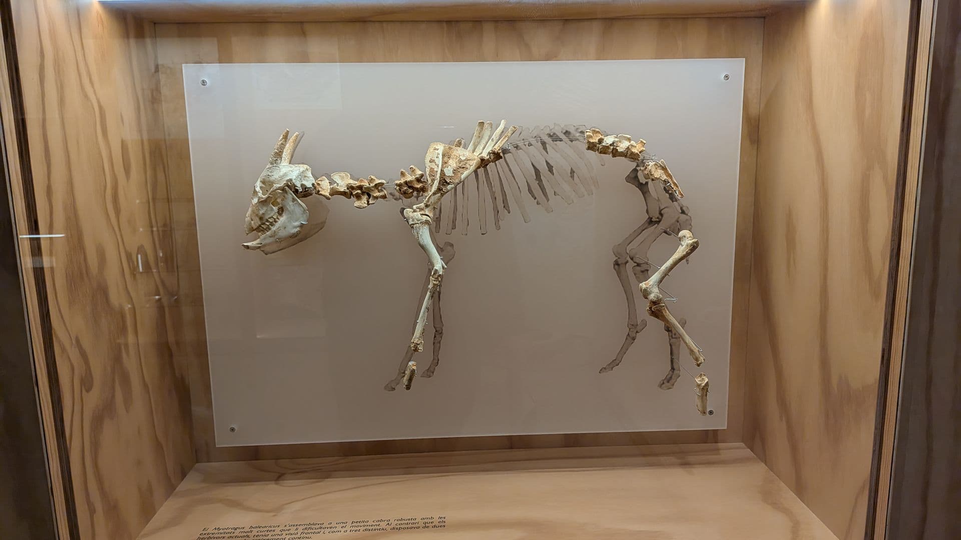 Museums of Mallorca