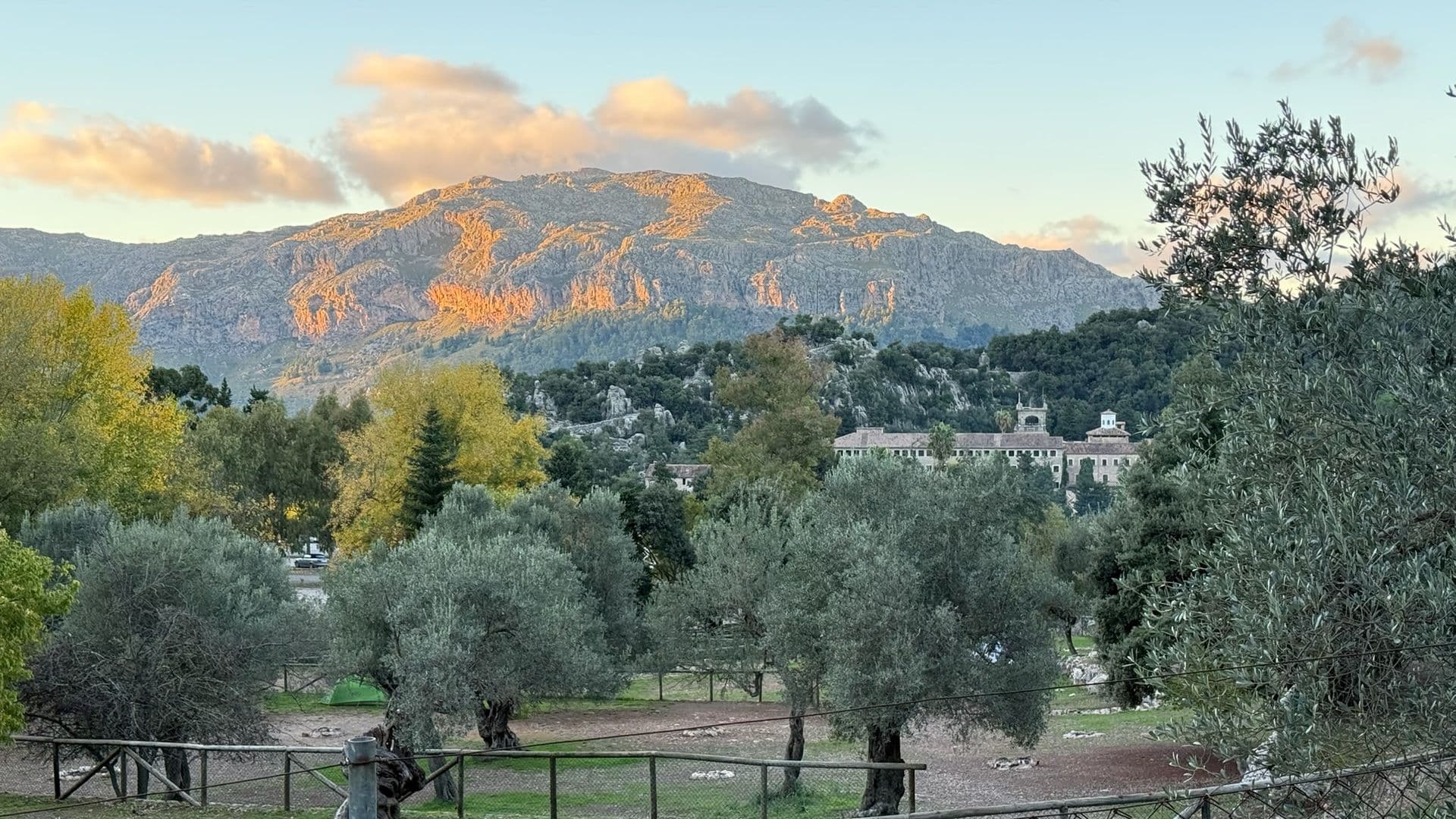 Wildlife & Nature Reserves of Mallorca